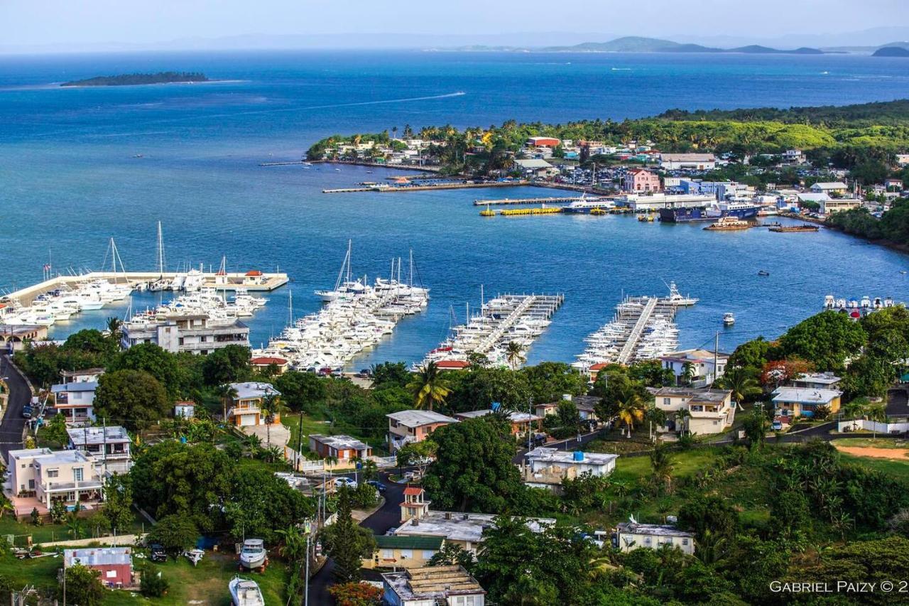 Waterfront Studio At Fajardo, Puerto Rico Εξωτερικό φωτογραφία